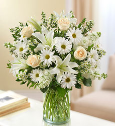 Ultimate Elegance White Flower Power, Florist Davenport FL